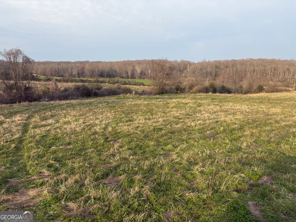 a view of outdoor space and green space