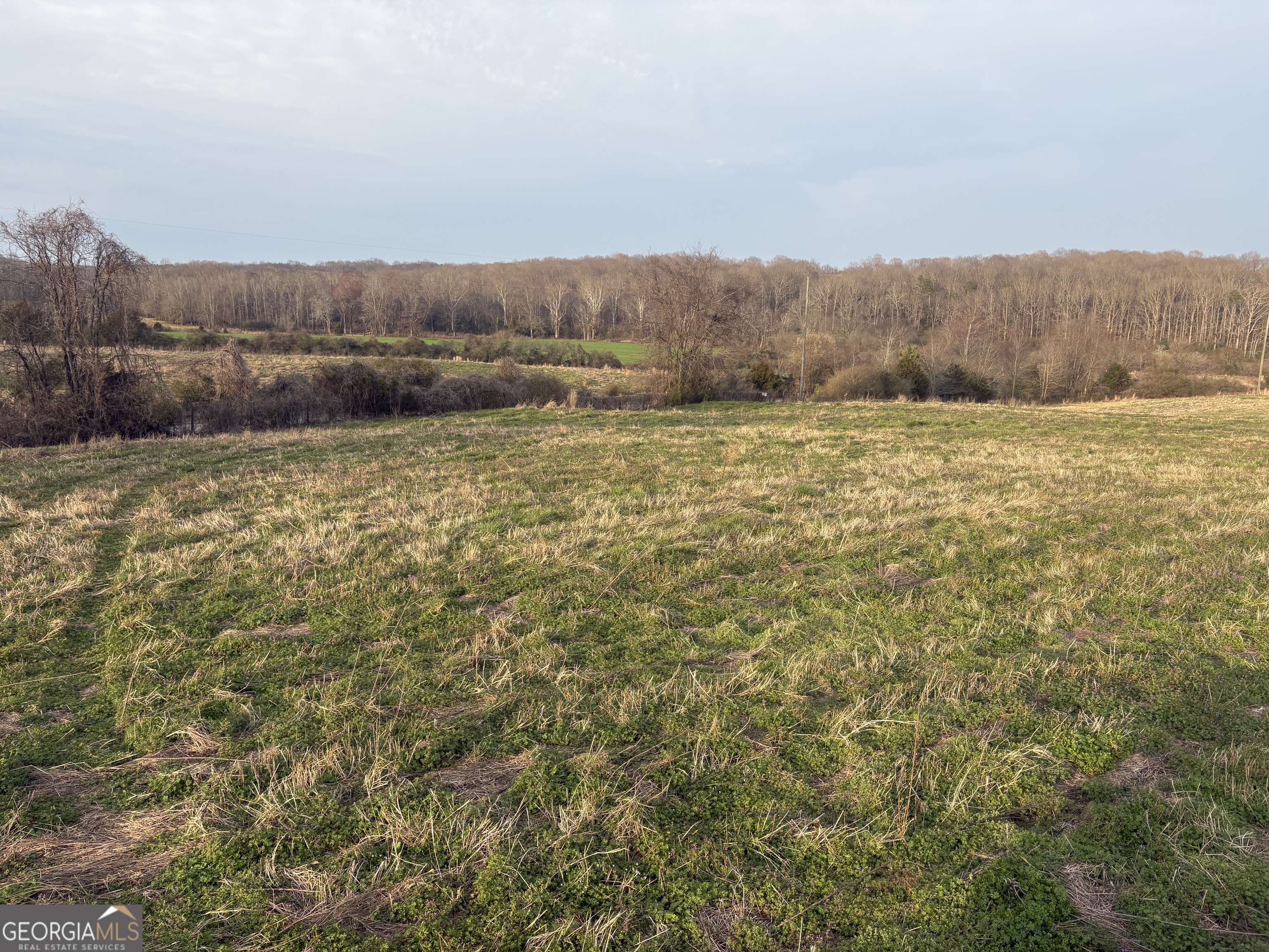 a view of outdoor space and green space