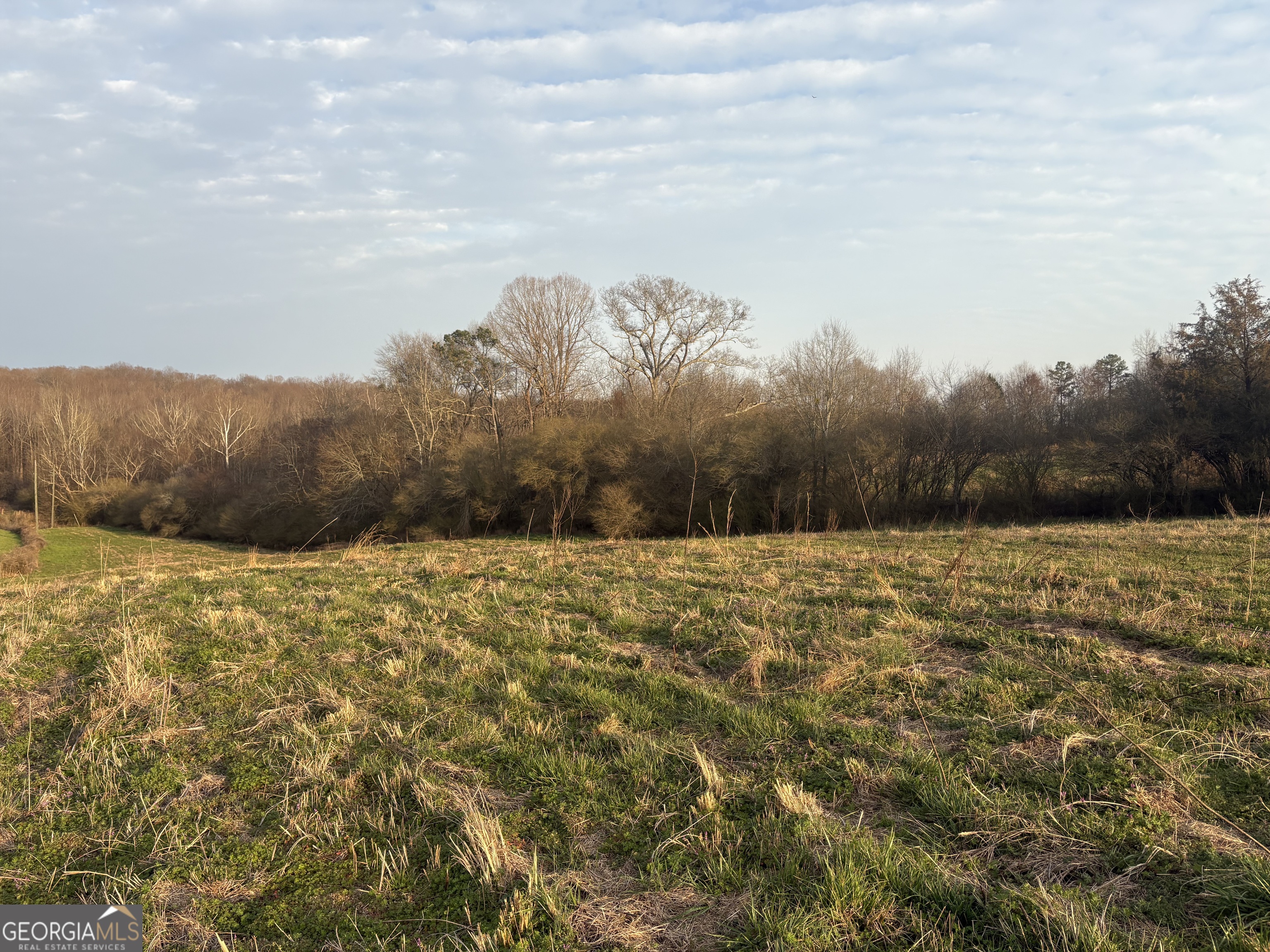 18 West L Williams Commerce, GA 30530 - Photo 13 of 30 a view of mountain view with trees