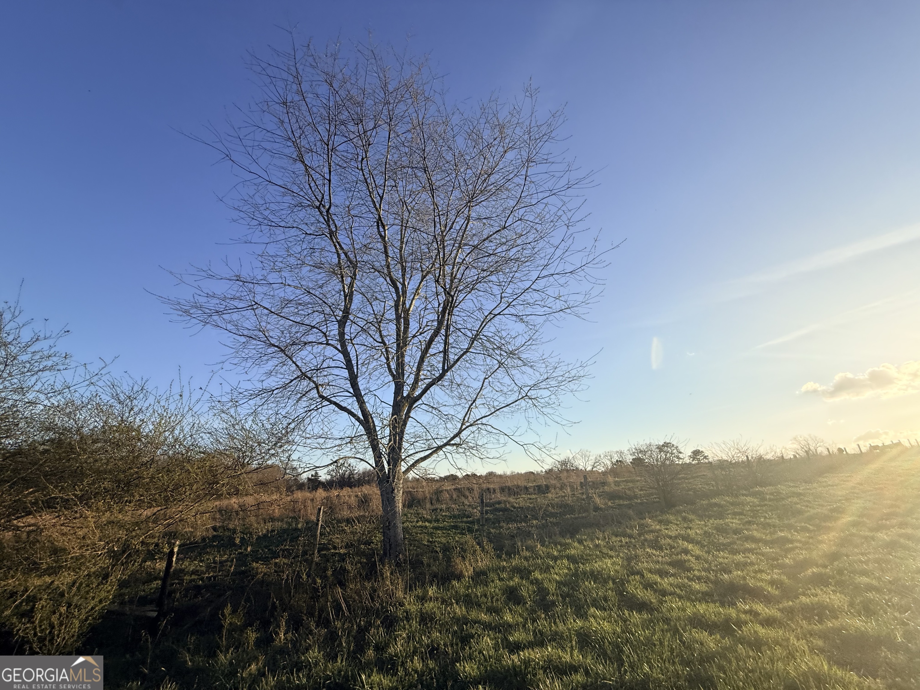 18 West L Williams Commerce, GA 30530 - Photo 17 of 30 a view of mountain view with lots of trees