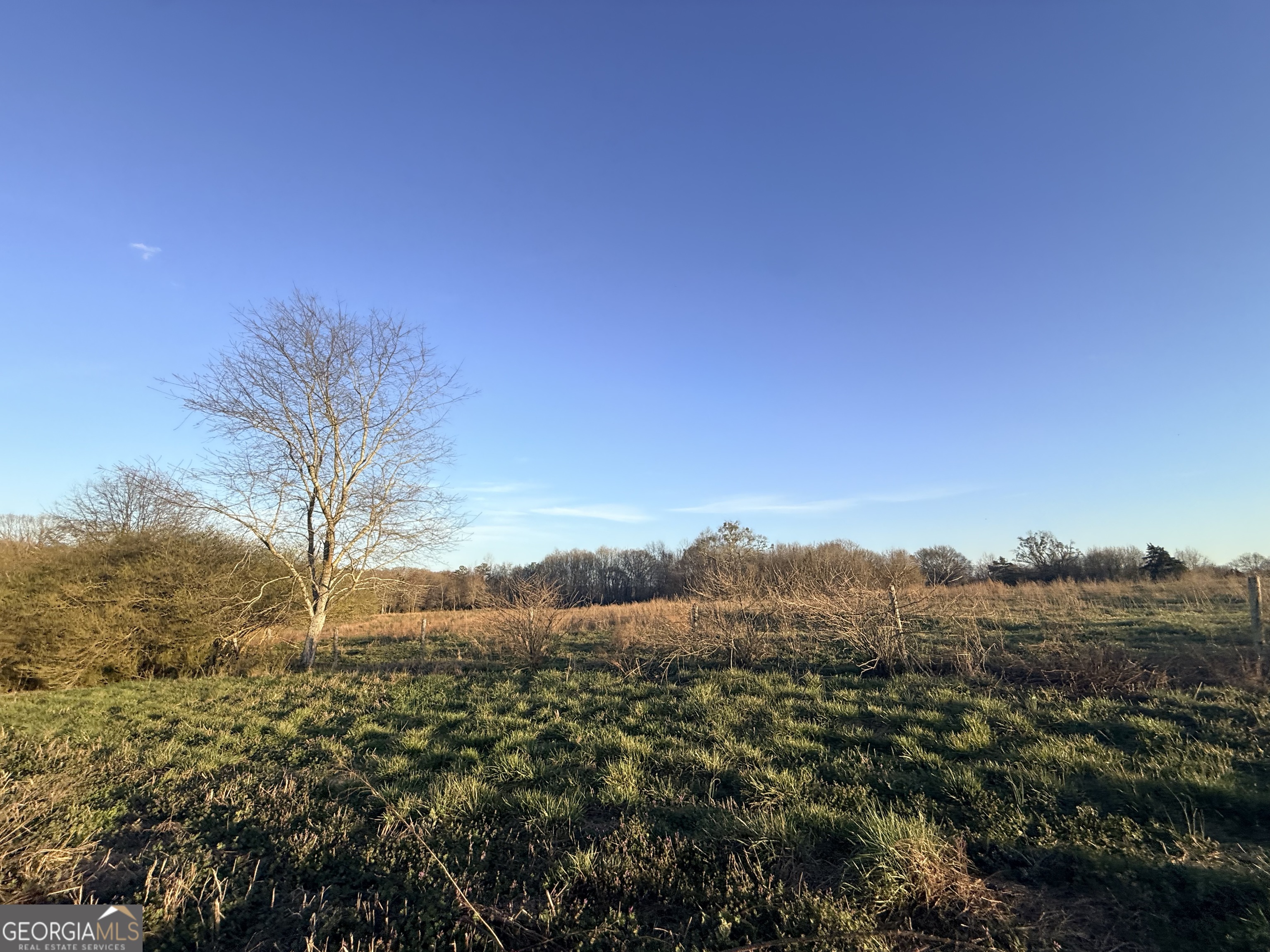 18 West L Williams Commerce, GA 30530 - Photo 18 of 30 a view of a yard