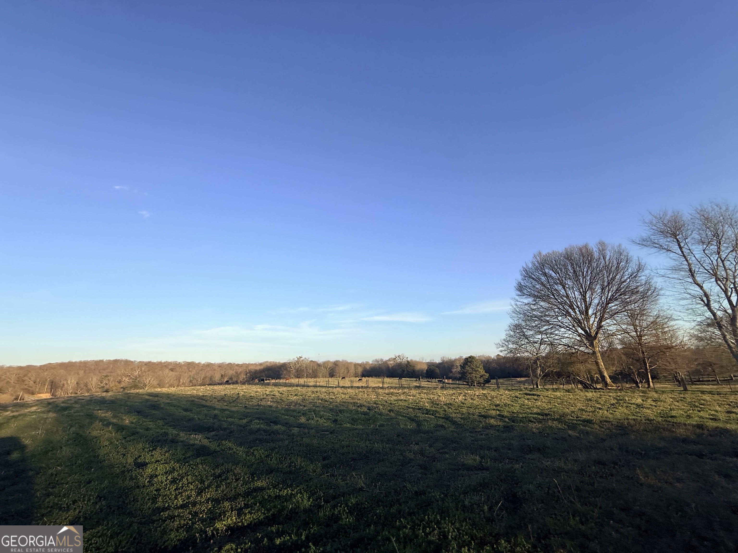 18 West L Williams Commerce, GA 30530 - Photo 19 of 30 a view of lake with mountain