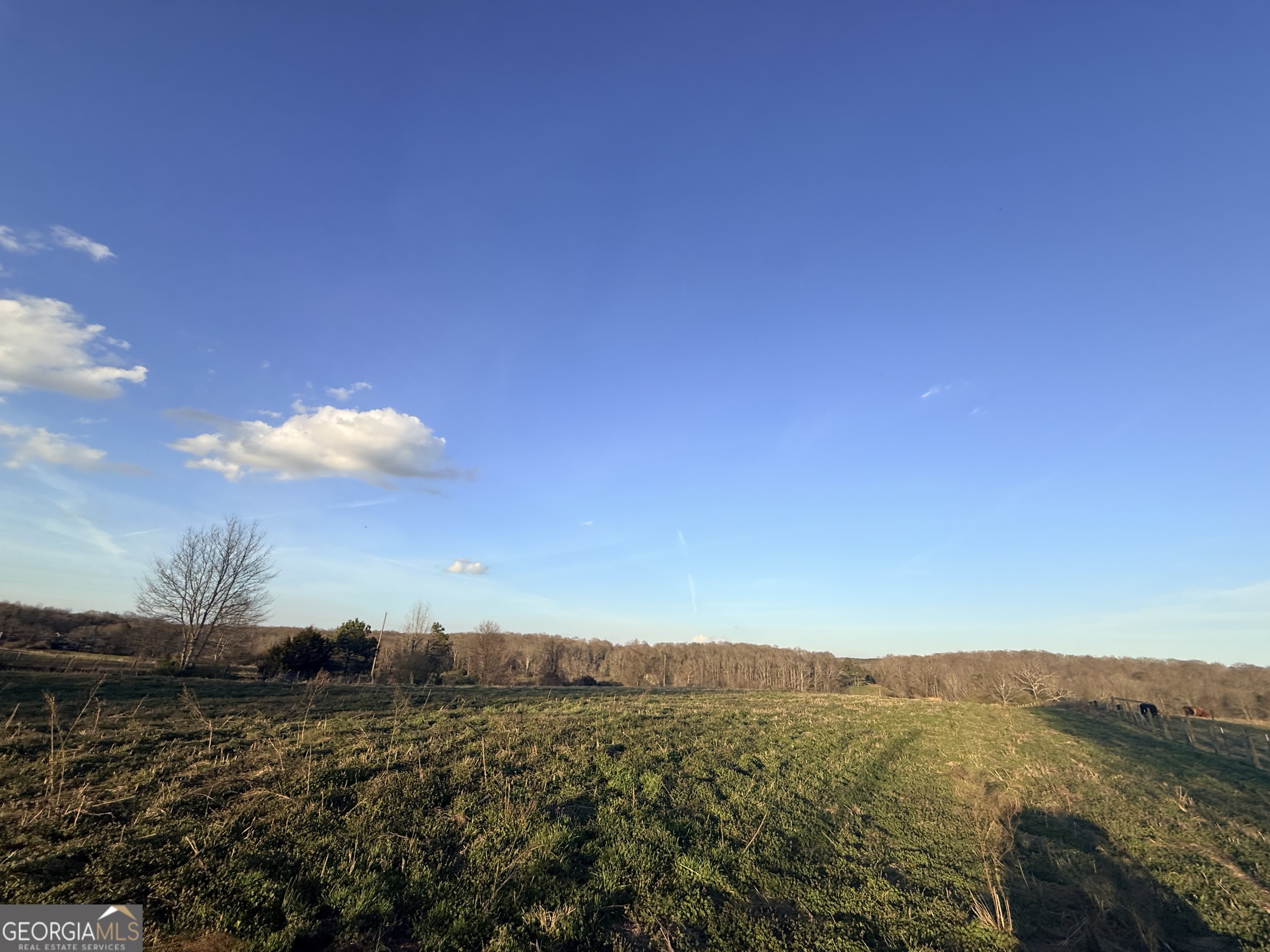 18 West L Williams Commerce, GA 30530 - Photo 20 of 30