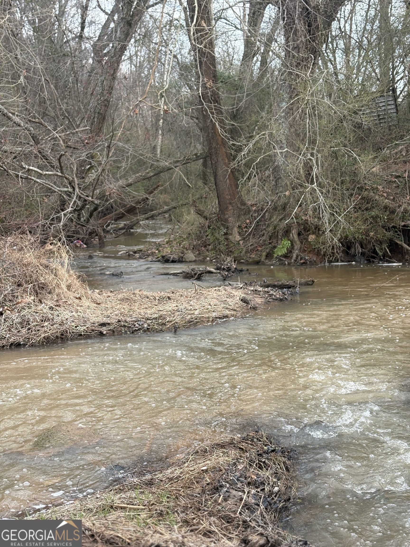 18 West L Williams Commerce, GA 30530 - Photo 24 of 30 a view of a ocean view