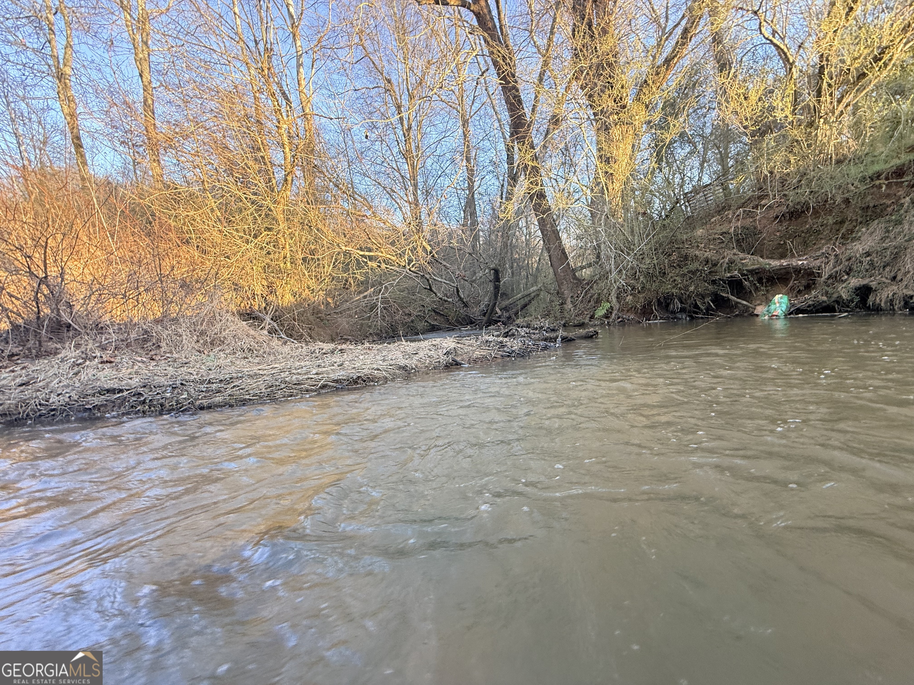 18 West L Williams Commerce, GA 30530 - Photo 25 of 30 a view of a lake view