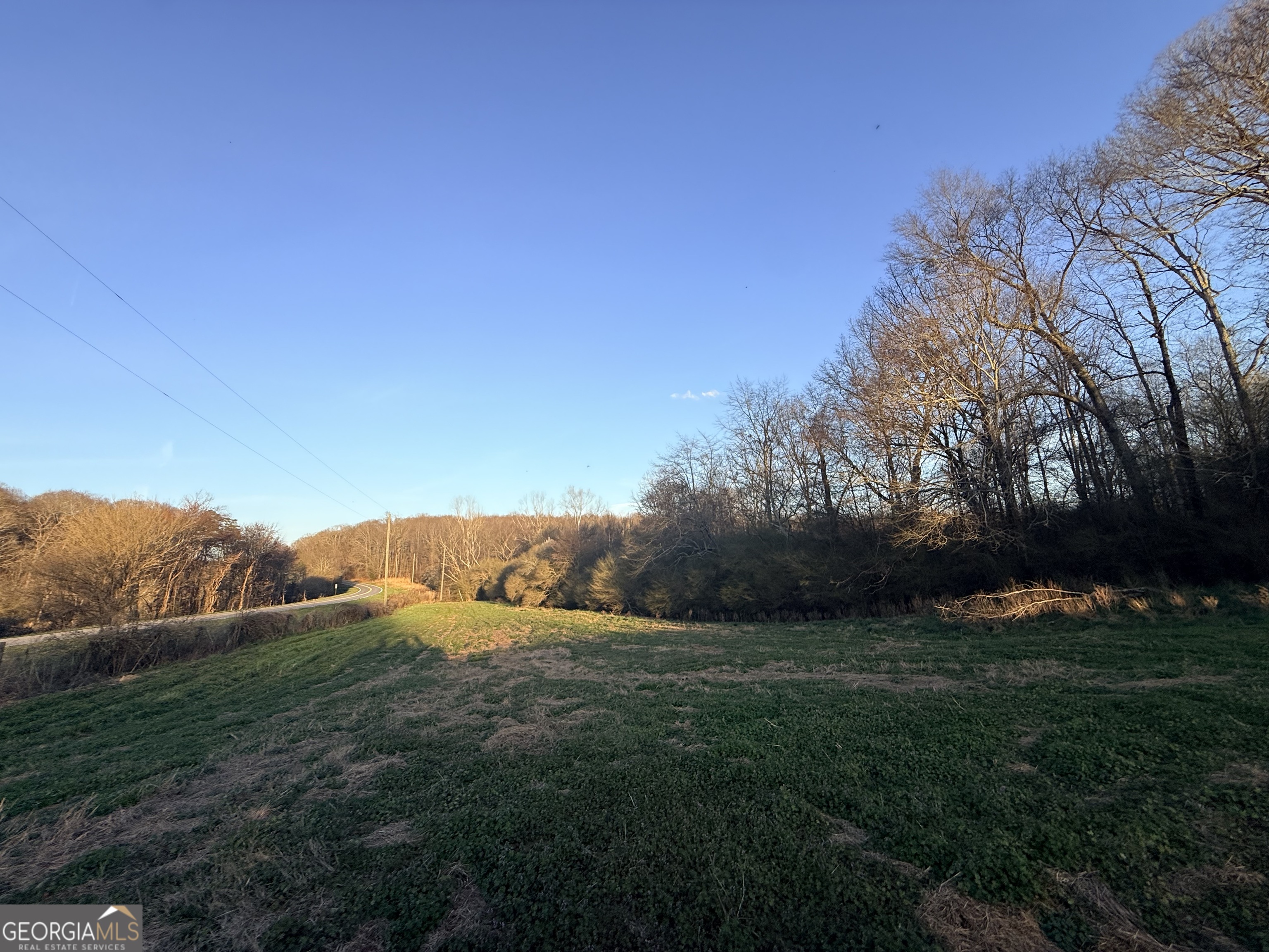 18 West L Williams Commerce, GA 30530 - Photo 28 of 30 a view of grassy field with mountain