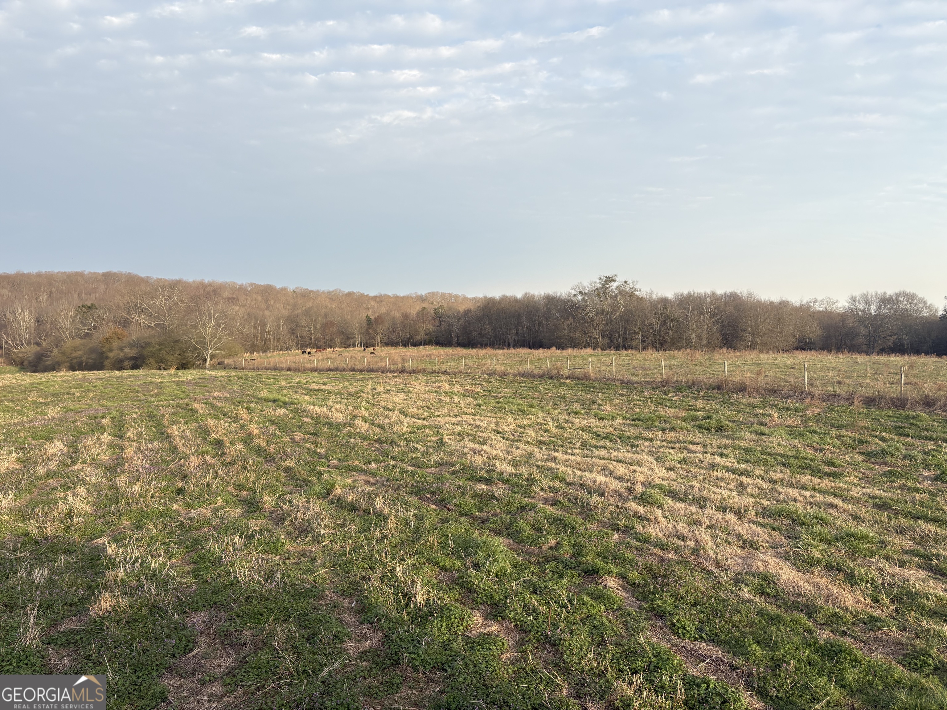 18 West L Williams Commerce, GA 30530 - Photo 4 of 30 a view of a field with an ocean