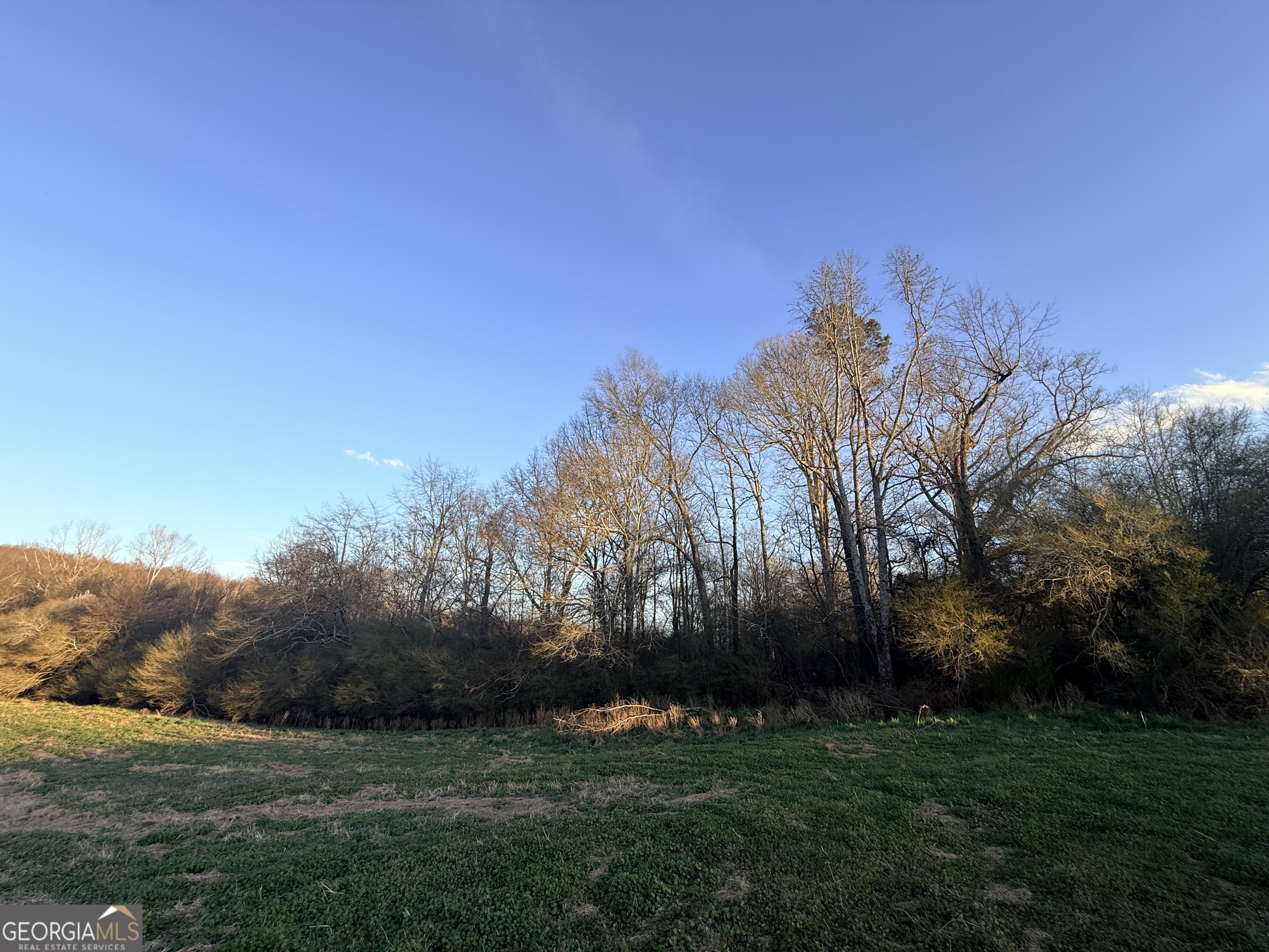 18 West L Williams Commerce, GA 30530 - Photo 6 of 30 a view of a grassy field with trees in the background