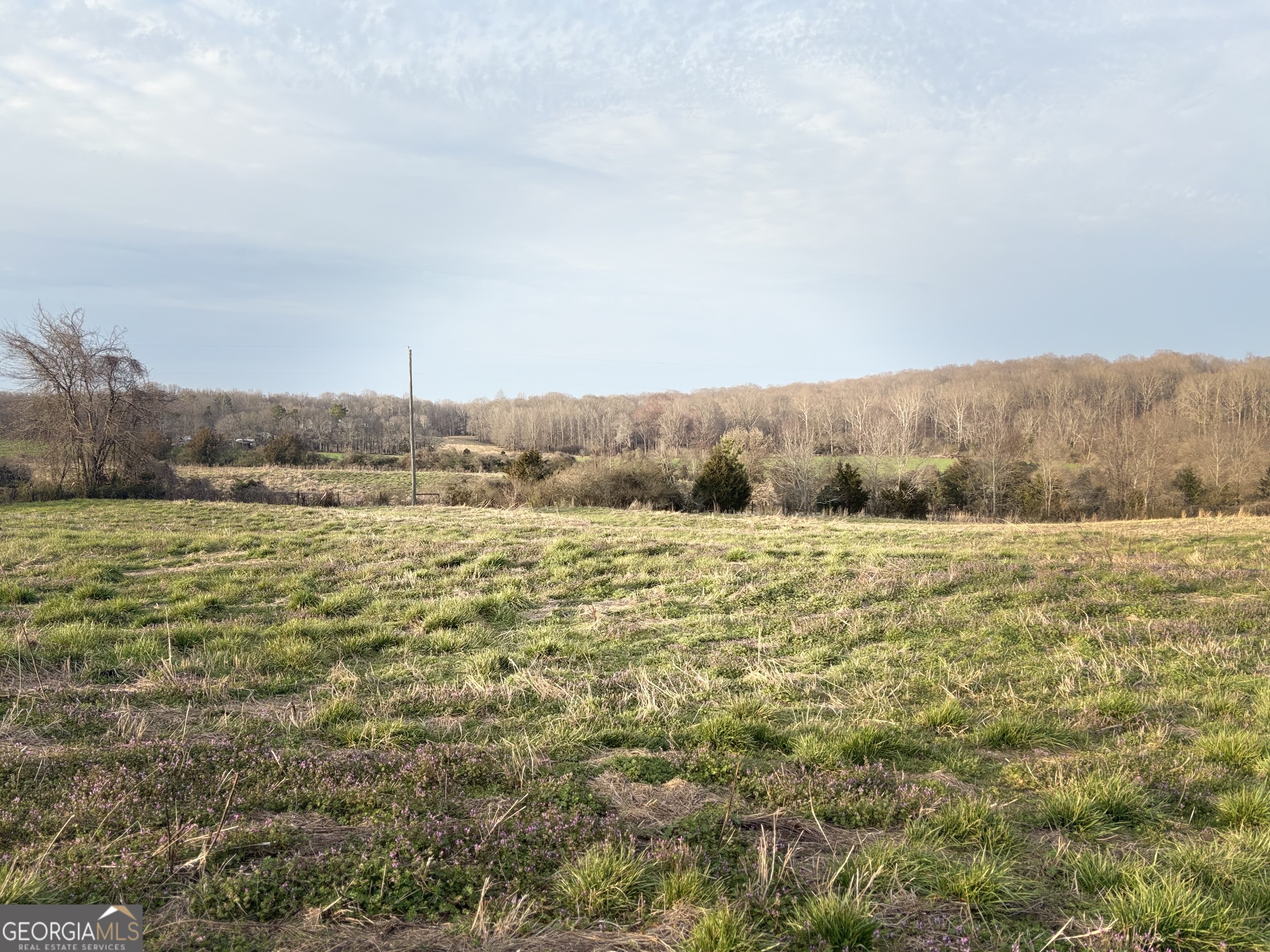 18 West L Williams Commerce, GA 30530 - Photo 7 of 30 a view of outdoor space and mountain view
