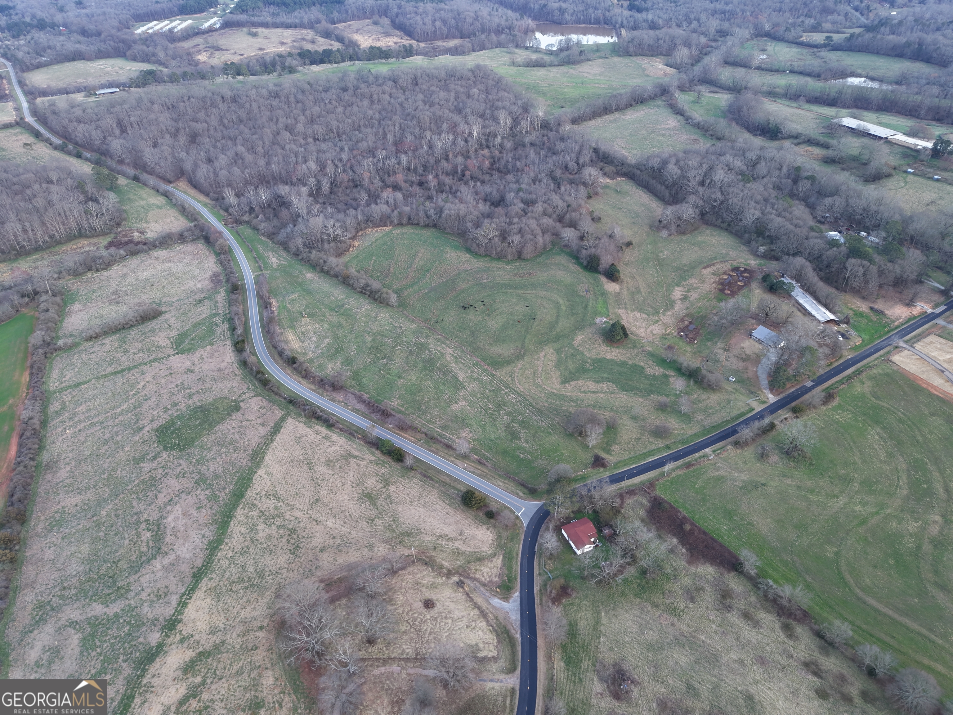 18 West L Williams Commerce, GA 30530 - Photo 10 of 30 a view of a dry yard with lots of trees