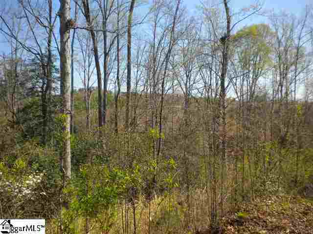 0 Bridgewater Road Pickens, SC 29671 - Photo 6 of 7