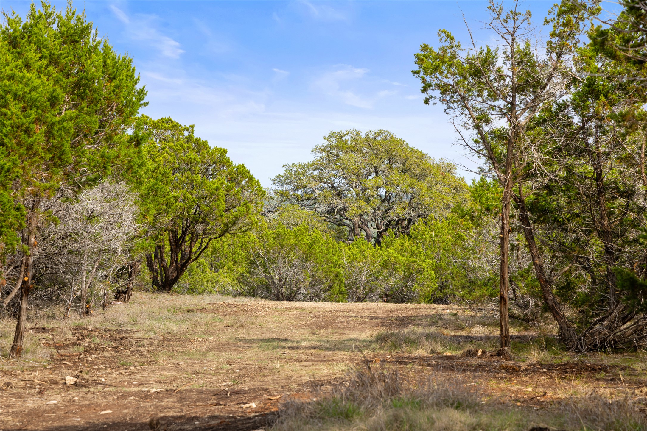 2966 Rm 165 Dripping Springs Dripping Springs, TX 78620 - Photo 16 of 23 Expansive natural landscape featuring varied tree species and clear skies