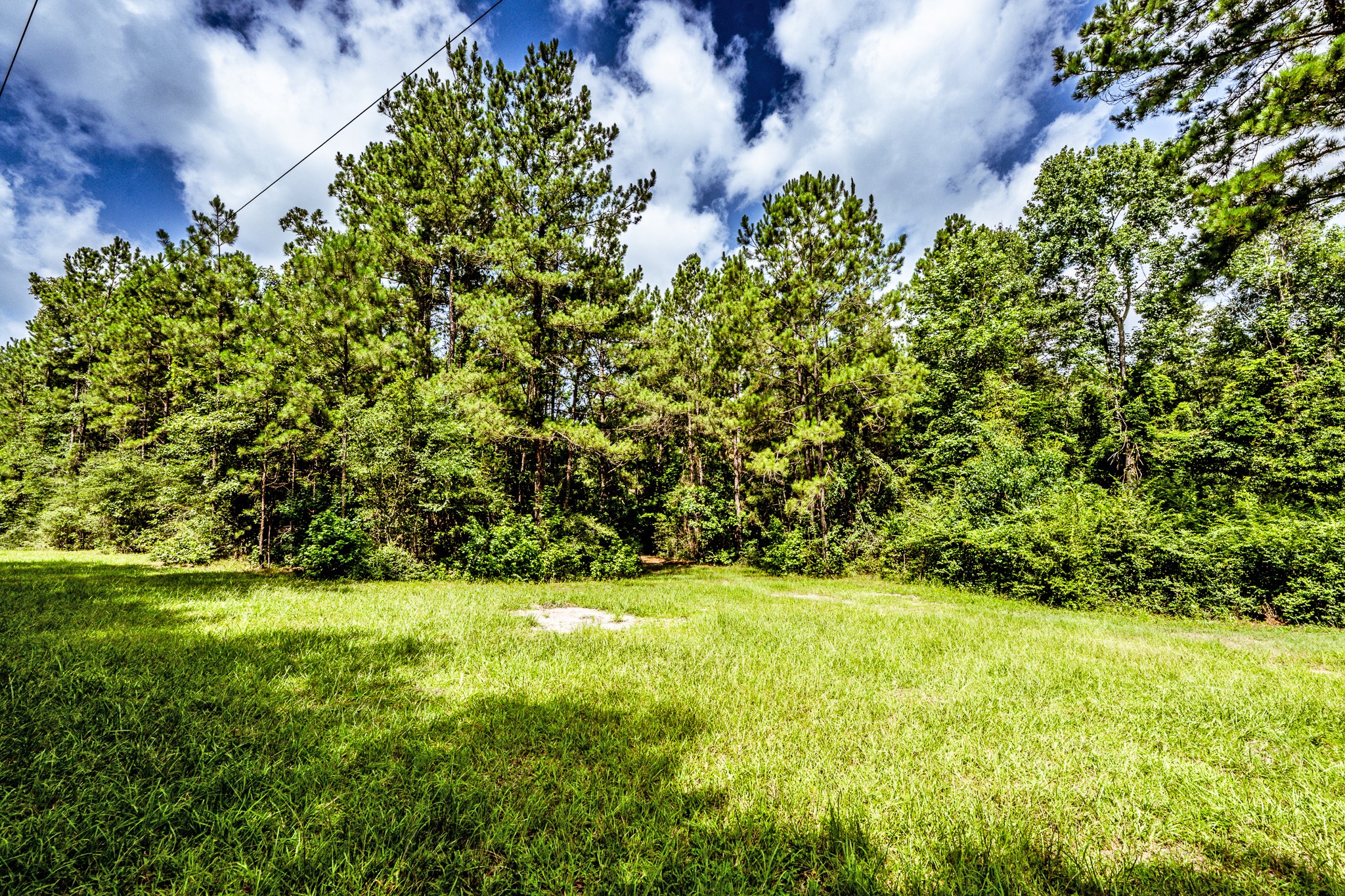 1030 Scott Road Groveton, TX 75845 - Photo 28 of 30