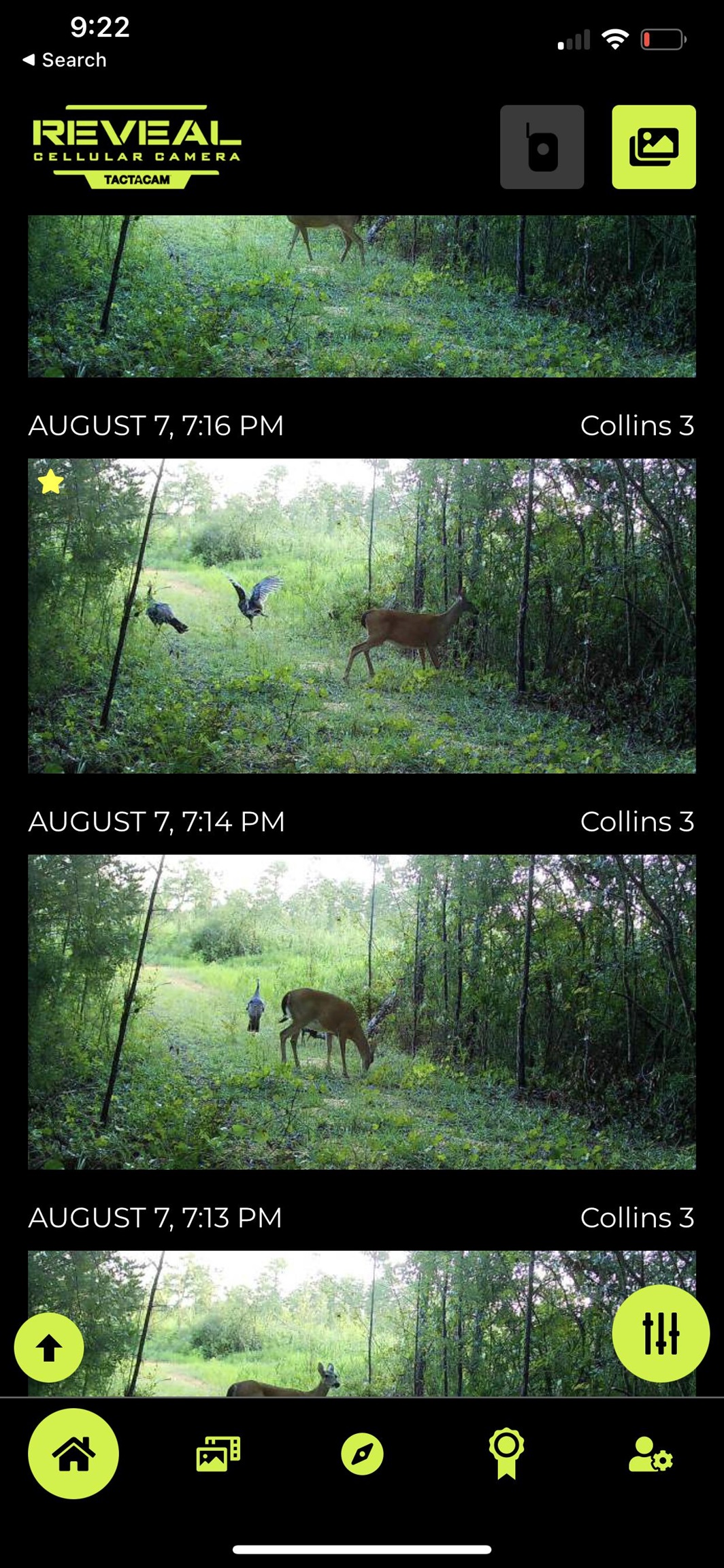 Hoyle Bryars Road Perdido, AL 36562 - Photo 4 of 12