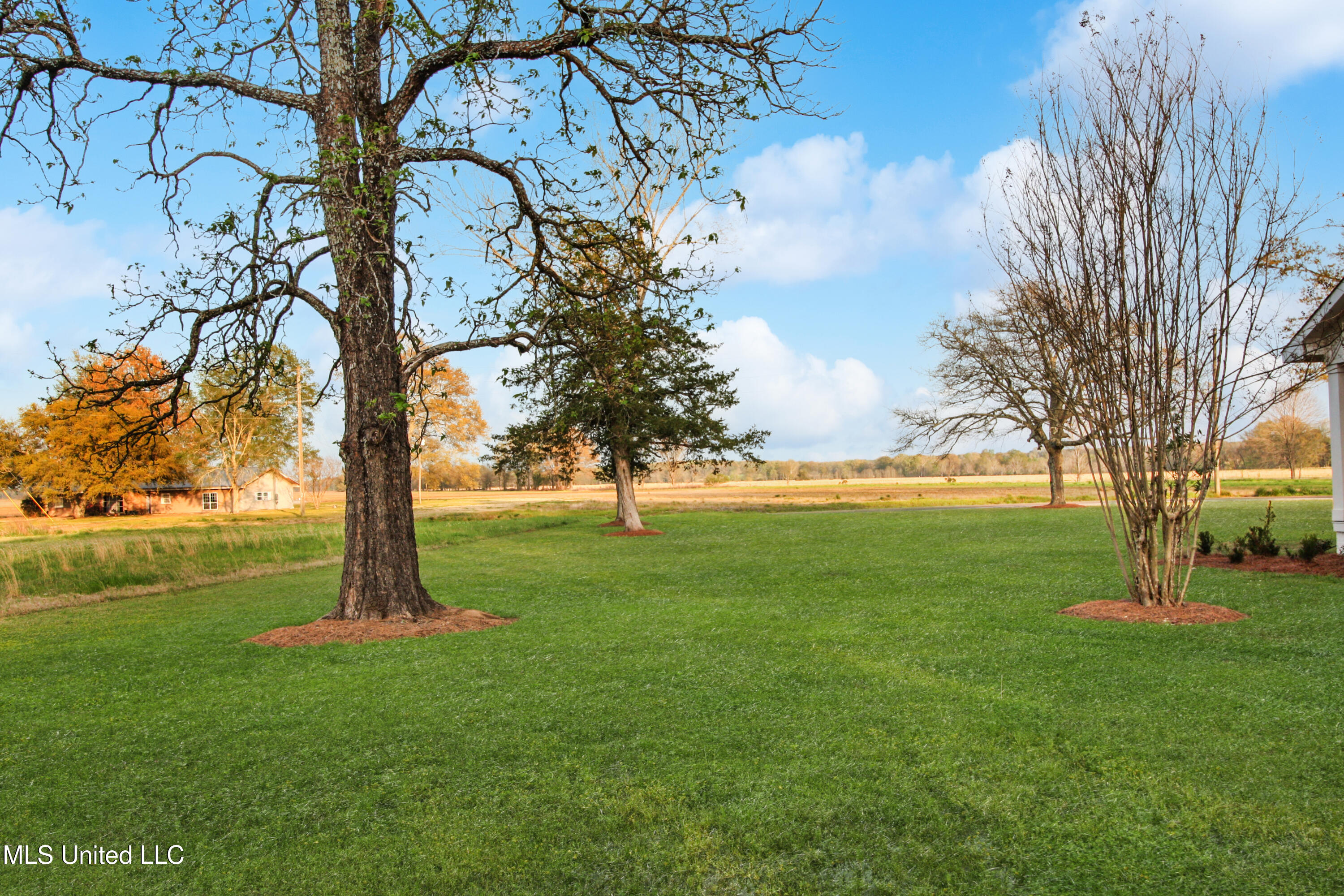 7243 Highway 433 Benton, MS 39039 - Photo 60 of 63 IMG_6425