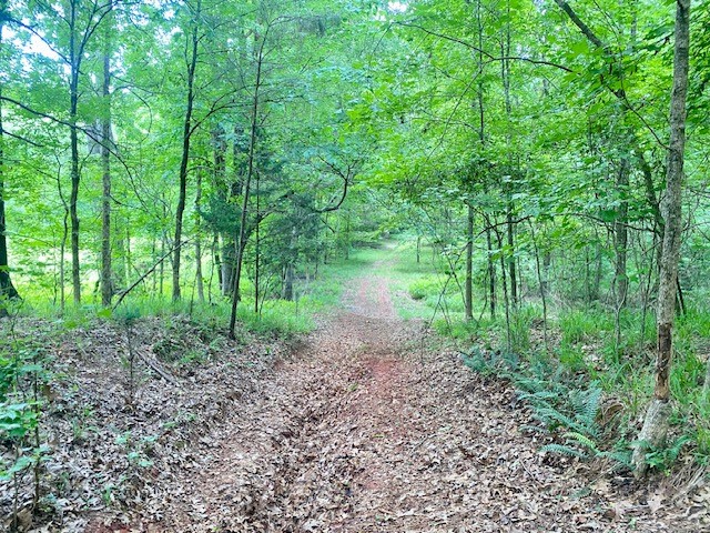 0 Pete Johnson Road Tignall, GA 30668 - Photo 27 of 43