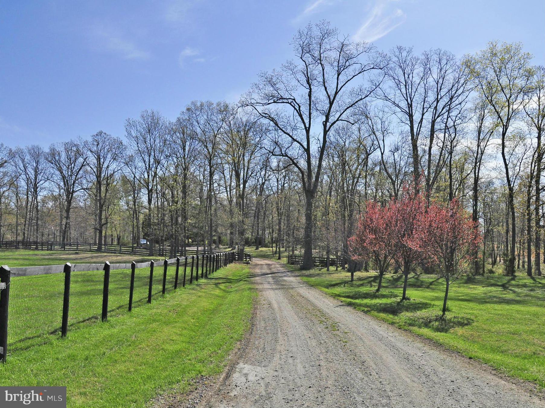43271 Spinks Ferry Road Leesburg, VA 20176 - Photo 21 of 30 Private lane leading to circular driveway