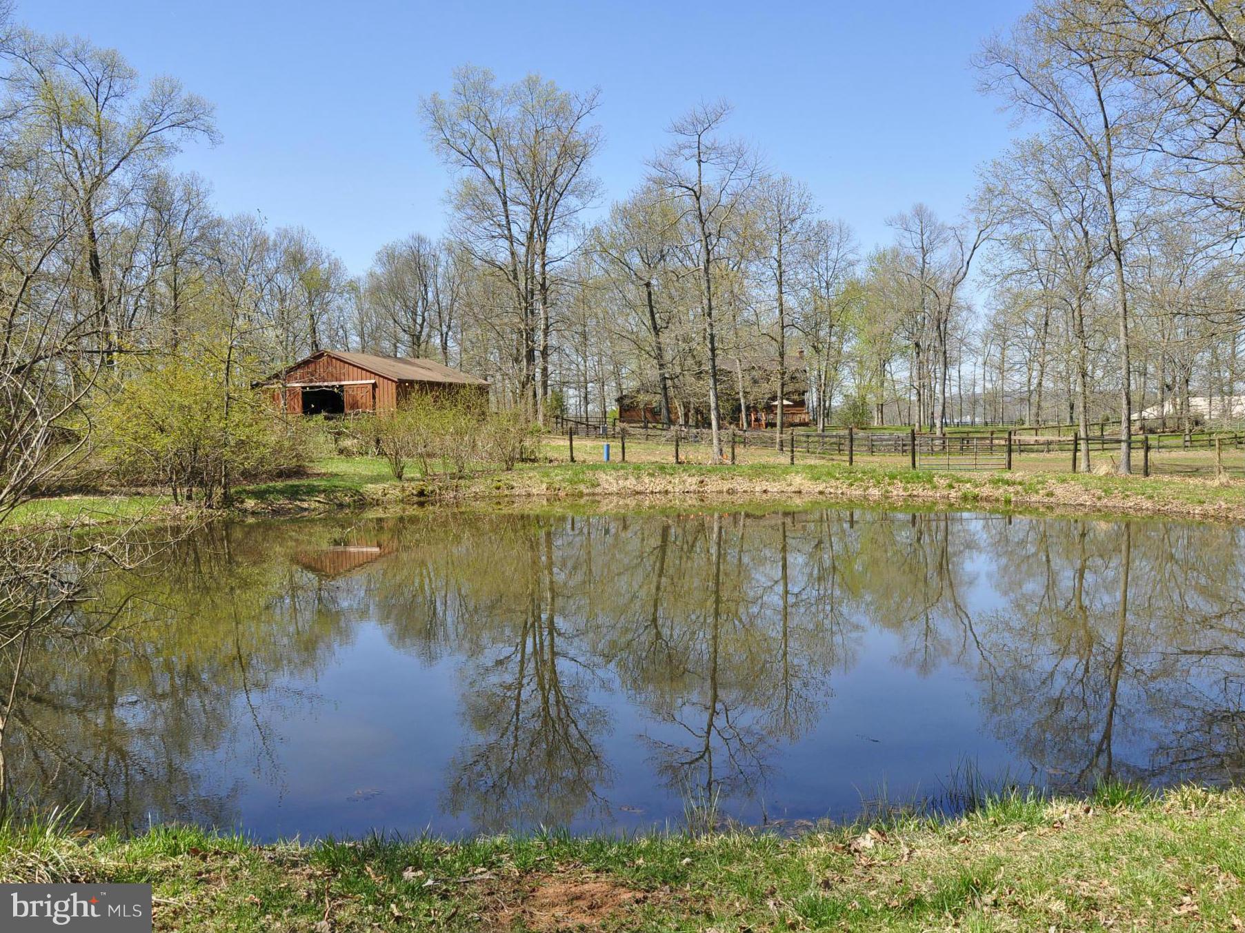 43271 Spinks Ferry Road Leesburg, VA 20176 - Photo 22 of 30 Gorgeous pond to attract birds