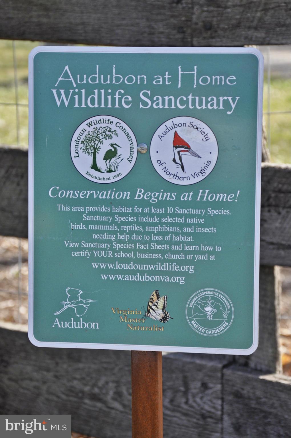 43271 Spinks Ferry Road Leesburg, VA 20176 - Photo 27 of 30 Audubon Certified At-Home Wildlife Sanctuary