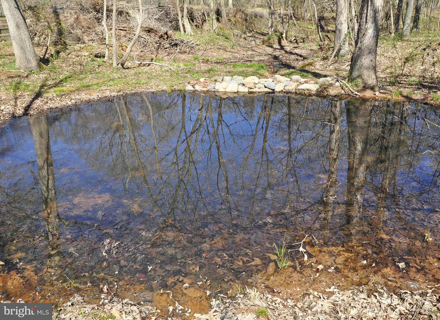 43271 Spinks Ferry Road Leesburg, VA 20176 - Photo 28 of 30 Vernal (spring) pool/habitat for frogs/salamanders