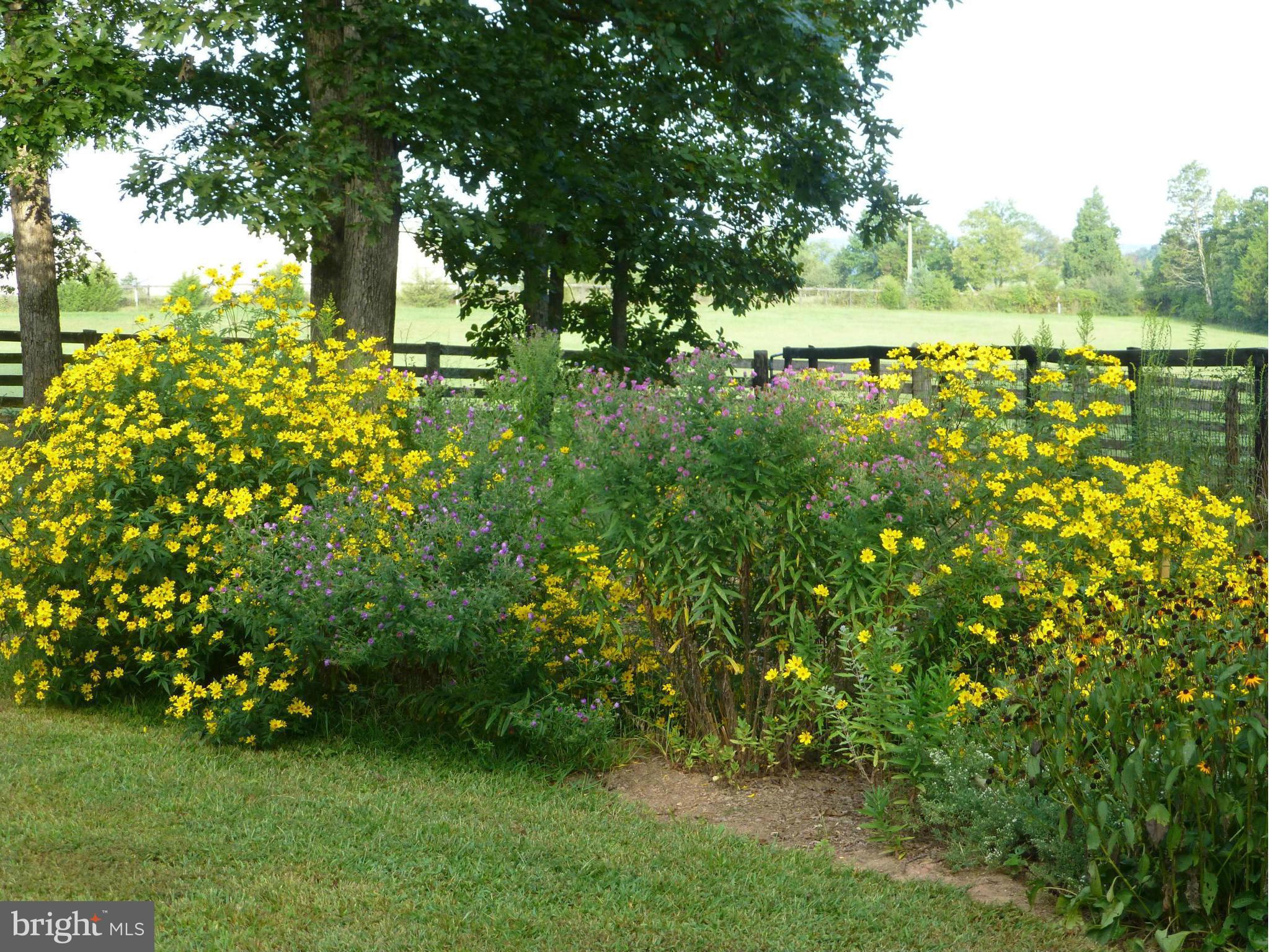43271 Spinks Ferry Road Leesburg, VA 20176 - Photo 29 of 30 More owner pictures from last summer---beautiful!