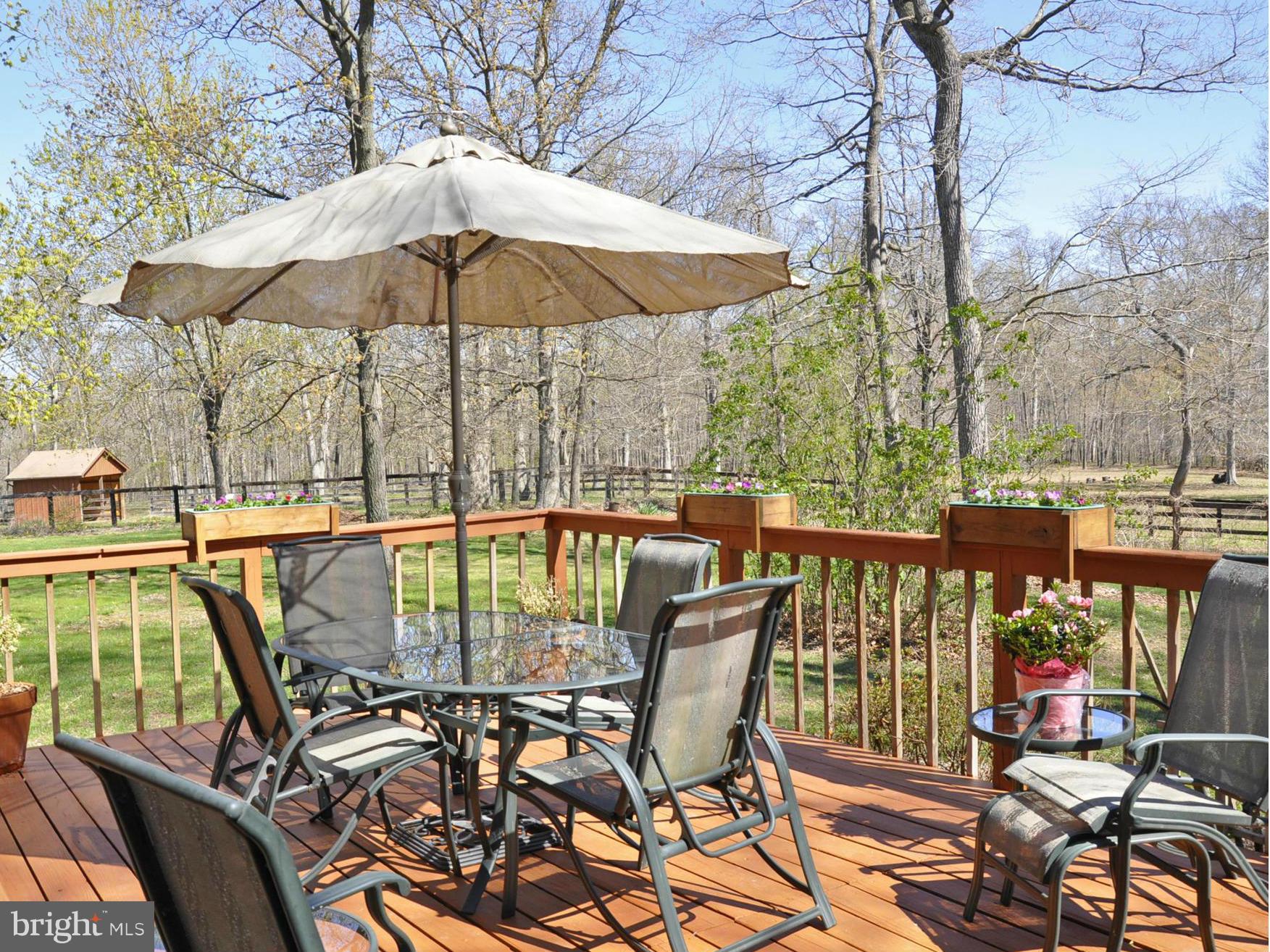 43271 Spinks Ferry Road Leesburg, VA 20176 - Photo 9 of 30 Deck off of sunroom-great for entertaining!