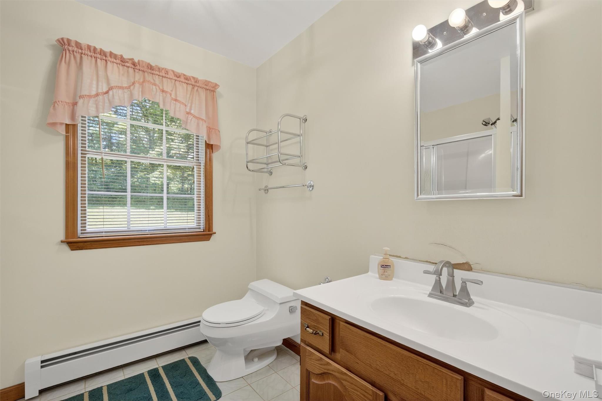 561 Toleman Road Rock Tavern, NY 12575 - Photo 21 of 31 a bathroom with a sink vanity granite toilet and a mirror