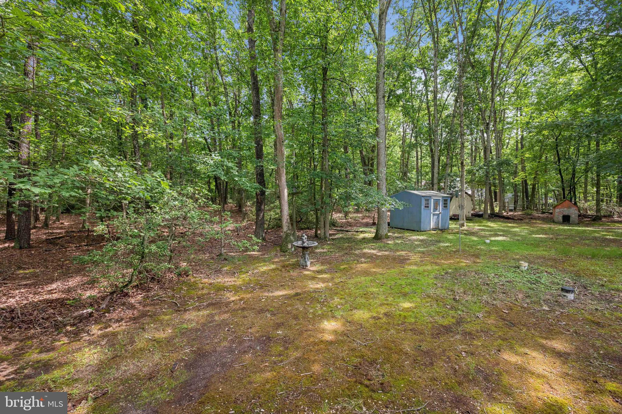 1 Dickson Drive Medford, NJ 08055 - Photo 38 of 38 View of Yard