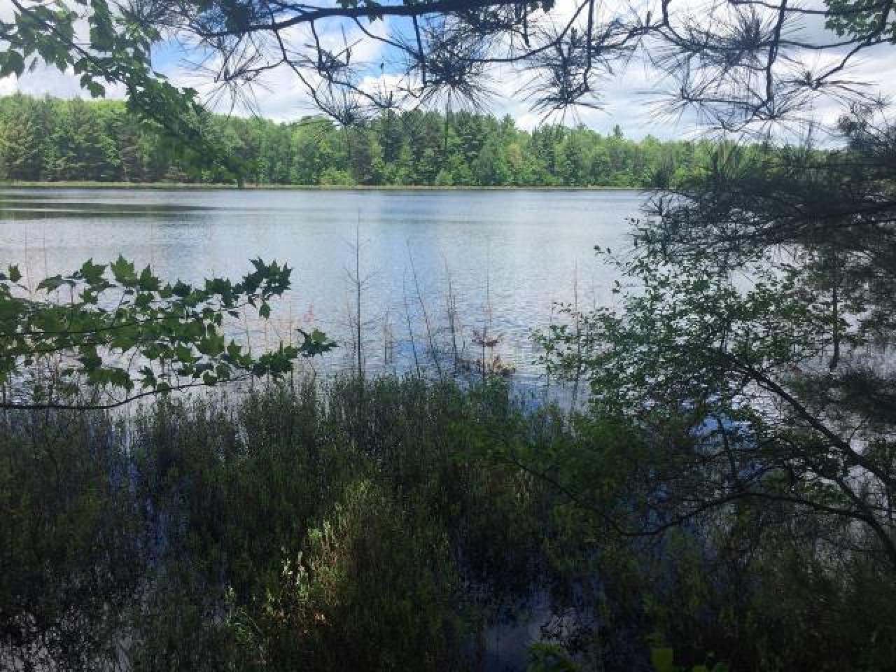 Lot On Harmony Lake Road Eagle River, WI 54521 - Photo 1 of 14 Gallery Image 1