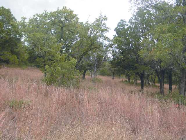 23116 Windy Valley Road Leander, TX 78641 - Photo 1 of 1 Land/Lot : Already cleared ! Nice level lot - also available is lot next to this one mls# 6424008, it is +/- 2.24 acres. You can build on the back of this lot or closer to the road and have an extremely large back yard. Perfect location for your new home.