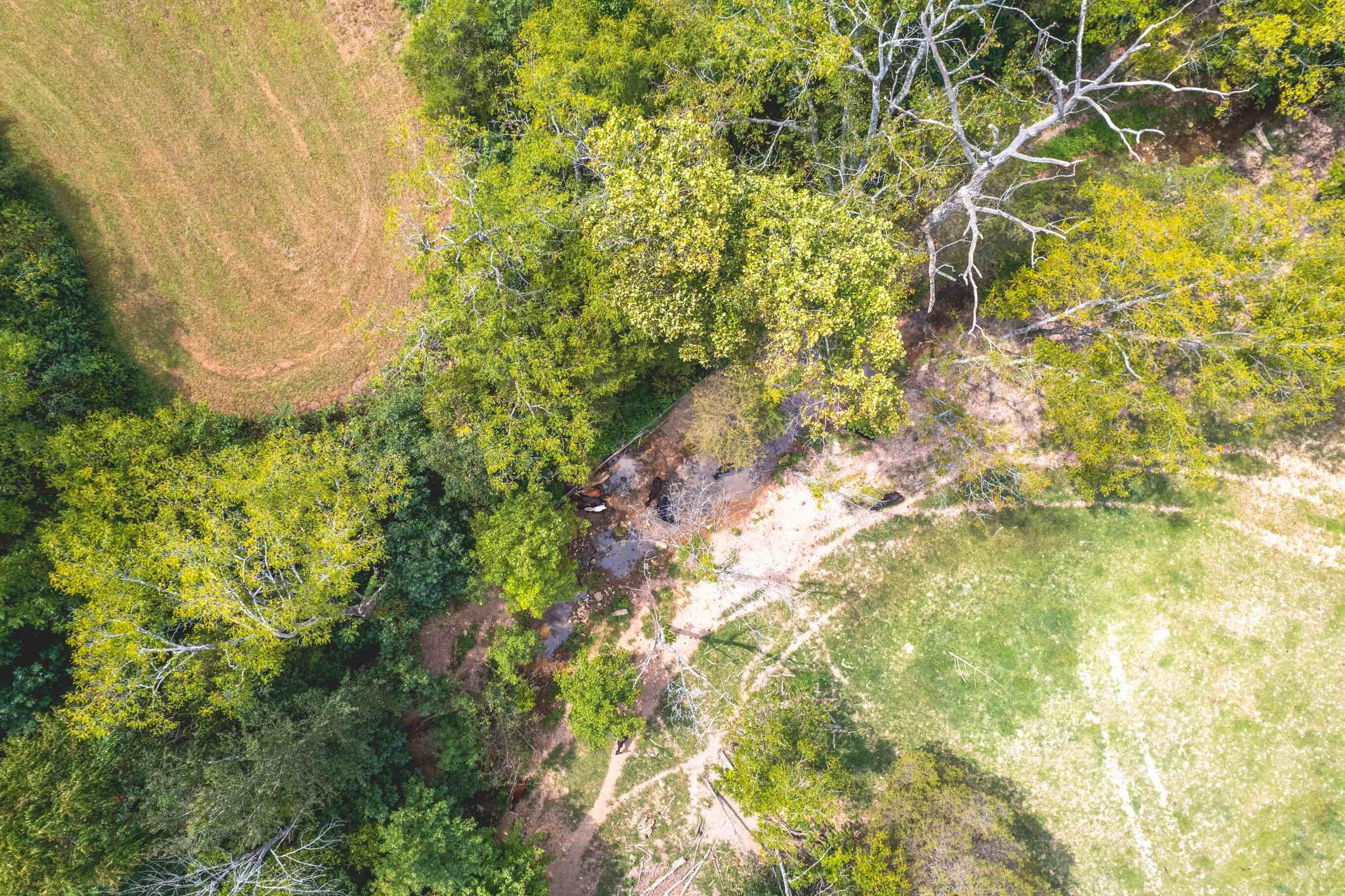 500 Loveless Road Science Hill, KY 42553 - Photo 3 of 9 089