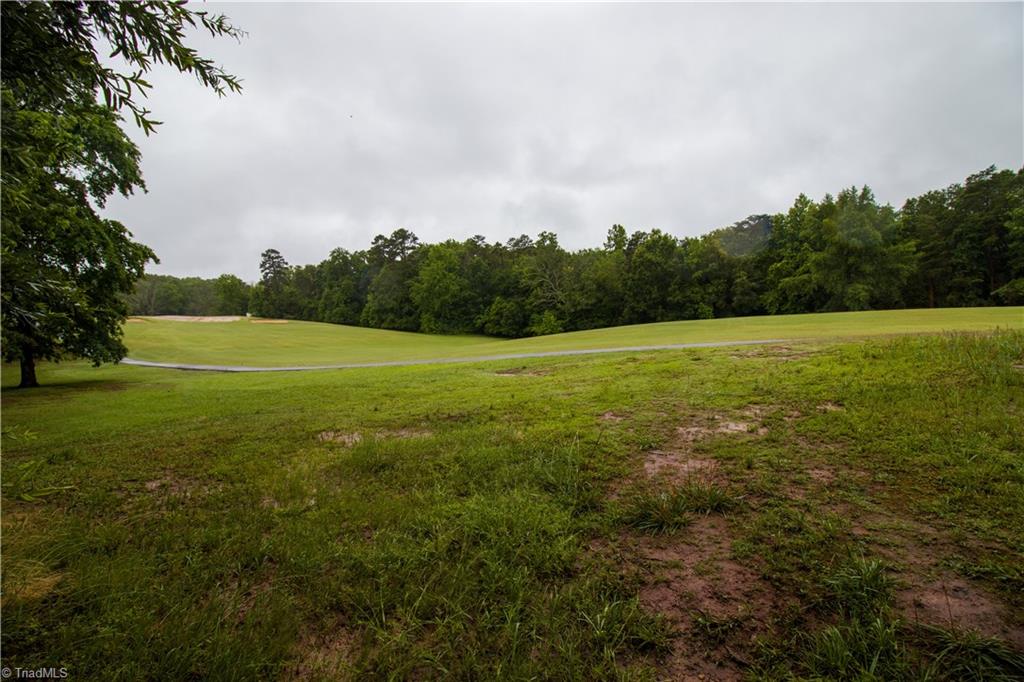 325 South Edgewood Road Eden, NC 27288 - Photo 29 of 29 view of hole #4 golf course just through the trees in back yard with cart path.