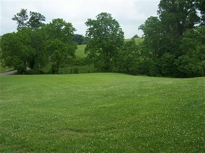 1024 White Oak Road Stamping Ground, KY 40379 - Photo 2 of 6 Photo 2