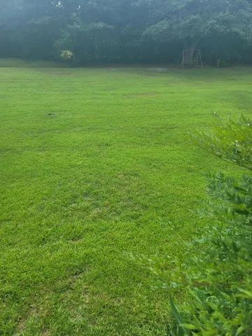 a view of a green yard