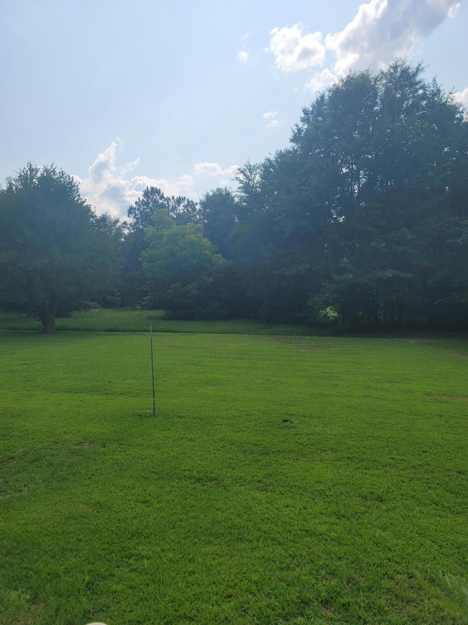 814 Maple Street Chipley, FL 32428 - Photo 3 of 15 a backyard of a house with lots of green space