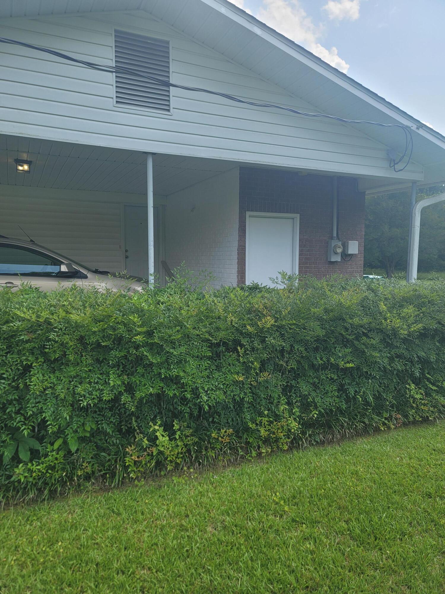 814 Maple Street Chipley, FL 32428 - Photo 4 of 15 a view of backyard of house