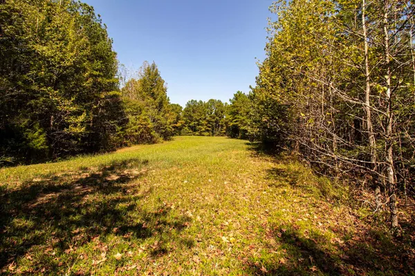 $475,325 | 0 125th Highway, Toone, TN 38381