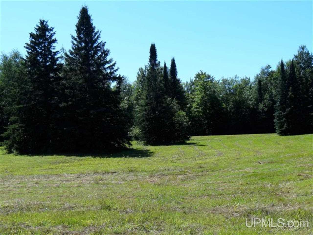 39547 Jaasko Road Toivola, MI 49965 - Photo 18 of 18 Gallery Image 18