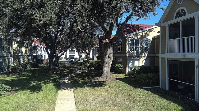 a view of a yard with plants and a large tree