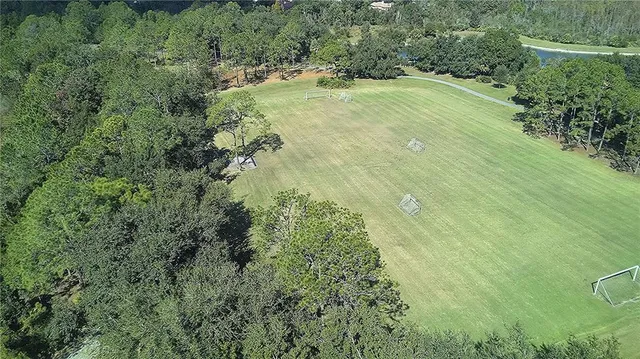 a big yard with lots of green space and plants
