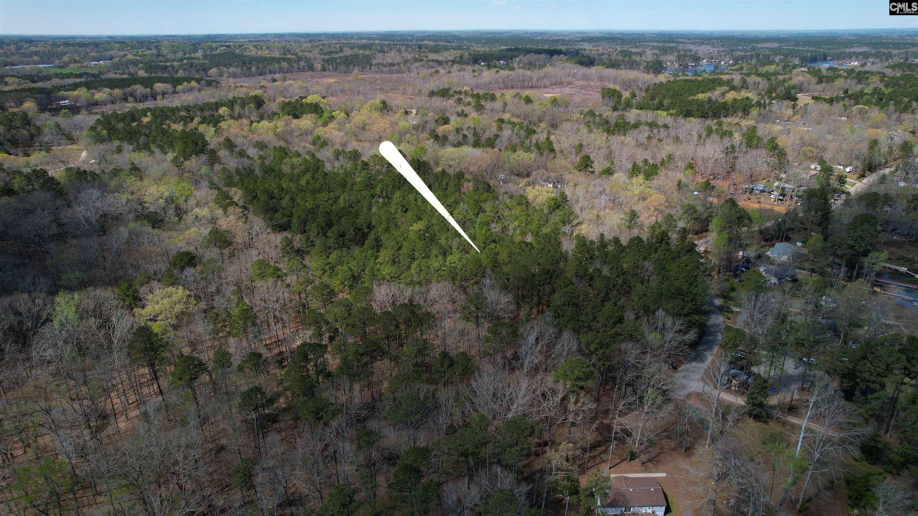650 Horse Creek Road Leesville, SC 29070 - Photo 8 of 10
