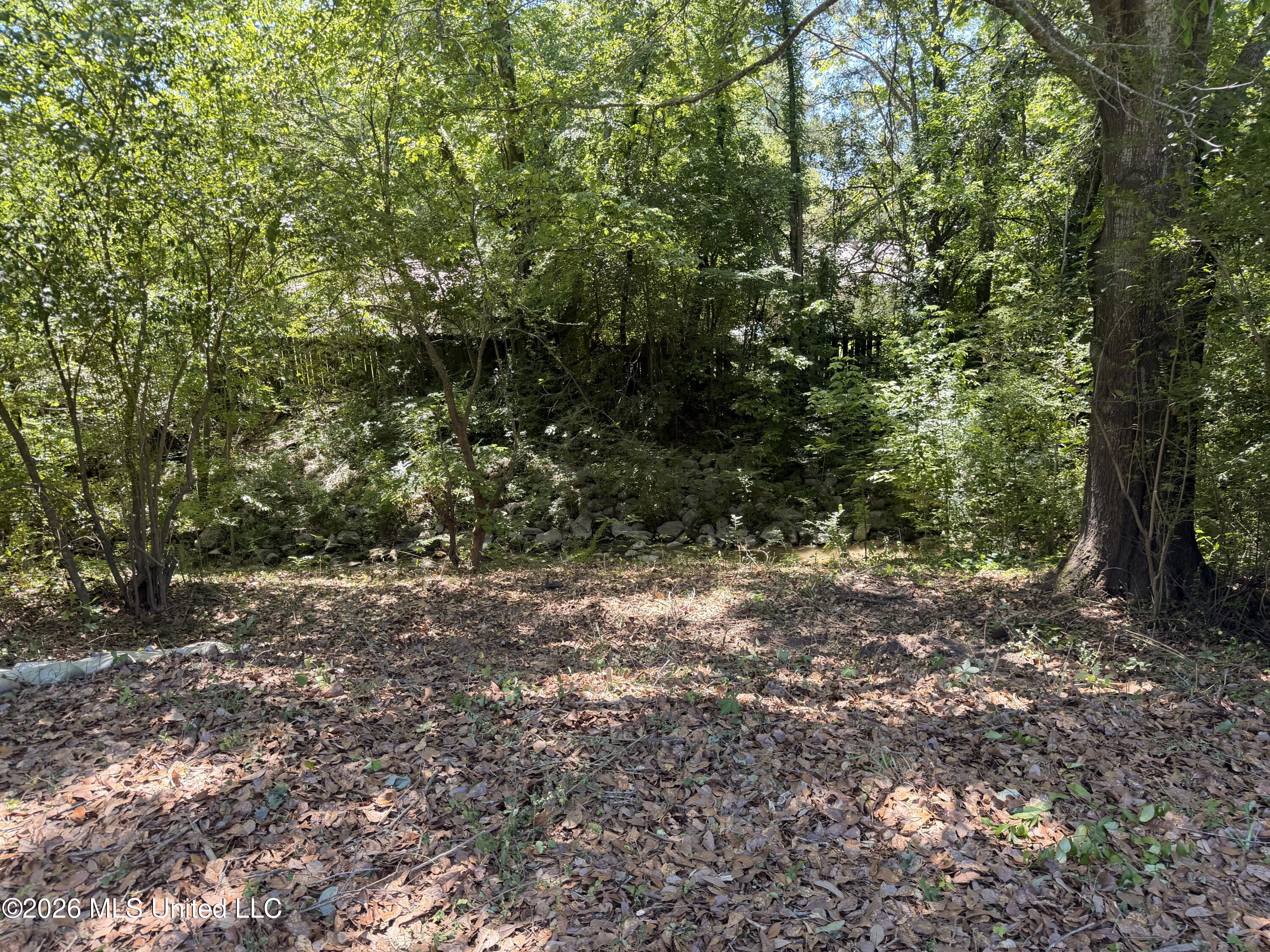 2229 Scanlon Drive Jackson, MS 39204 - Photo 15 of 16 IMG_4808
