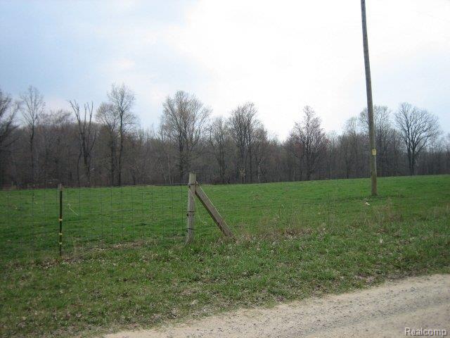Par B Snoblin Road North Branch, MI 48461 - Photo 1 of 4 Snoblin Main 40 Acres