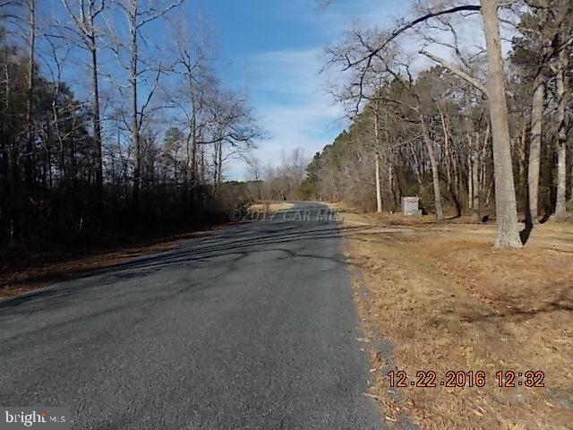 33580 Rohm Road Parsonsburg, MD 21849 - Photo 15 of 16 Gallery Image 15