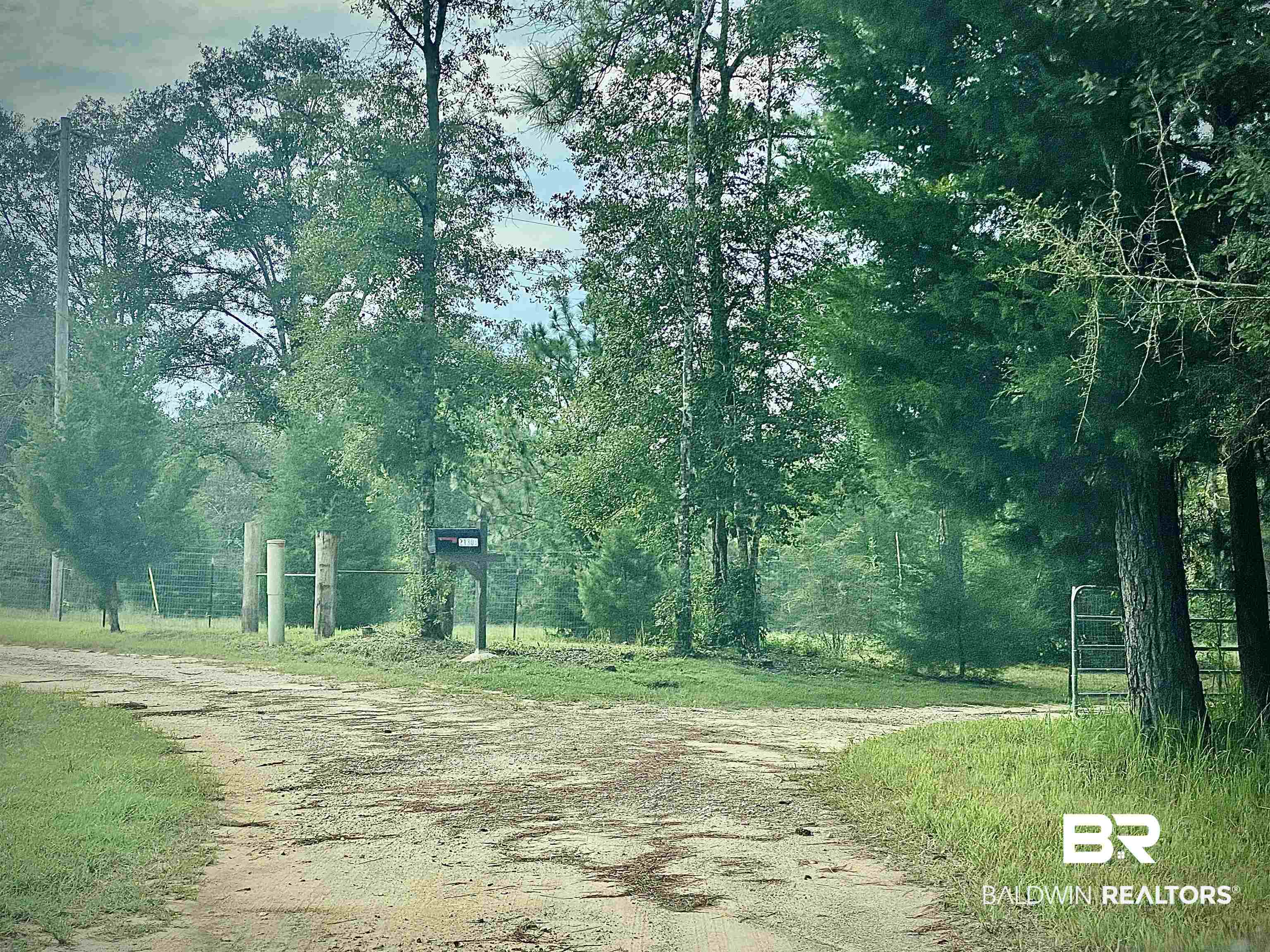 21305 River Road Robertsdale, AL 36567 - Photo 39 of 50 FRUIT TREES