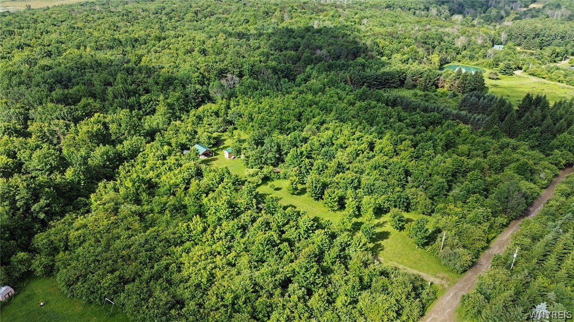 7240 New Hudson Road New Hudson, NY 14717 - Photo 19 of 33