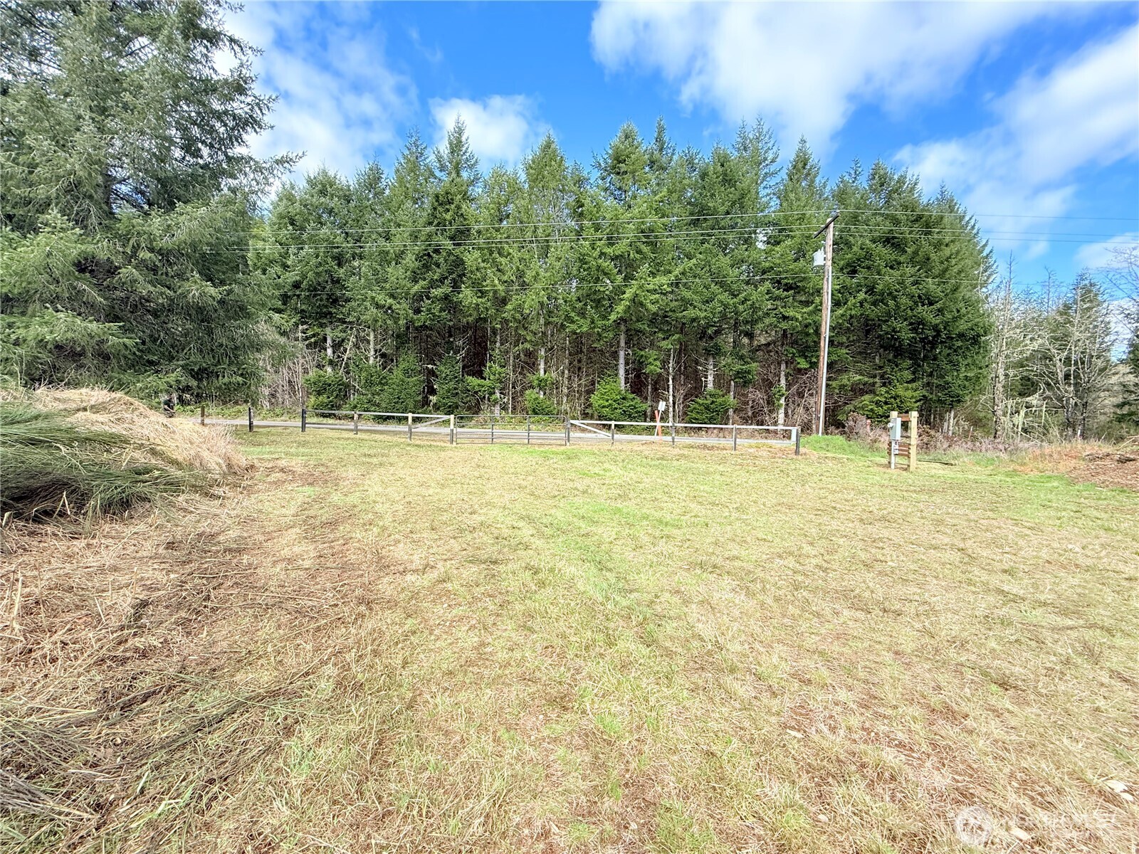2126 Spencer Road Salkum, WA 98582 - Photo 13 of 24 a backyard of a house with lots of green space and fountain