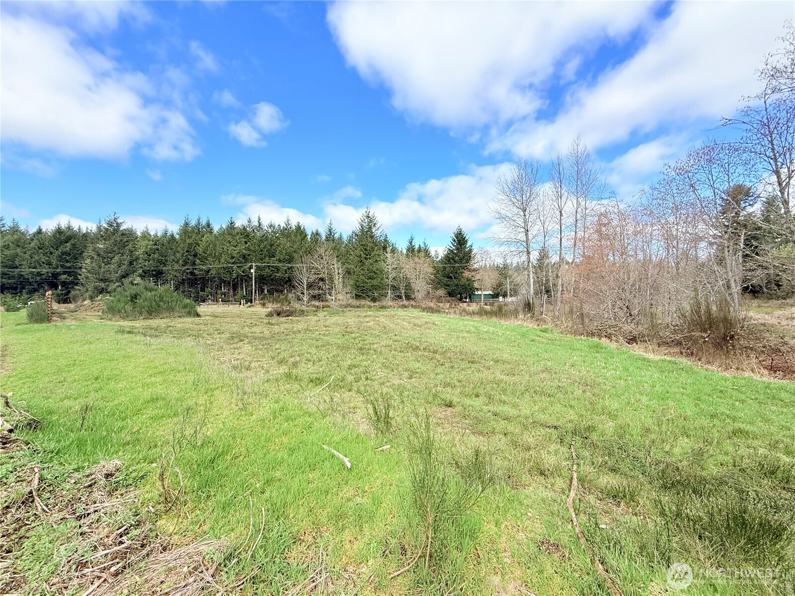 2126 Spencer Road Salkum, WA 98582 - Photo 16 of 24 a view of outdoor space with green field and trees