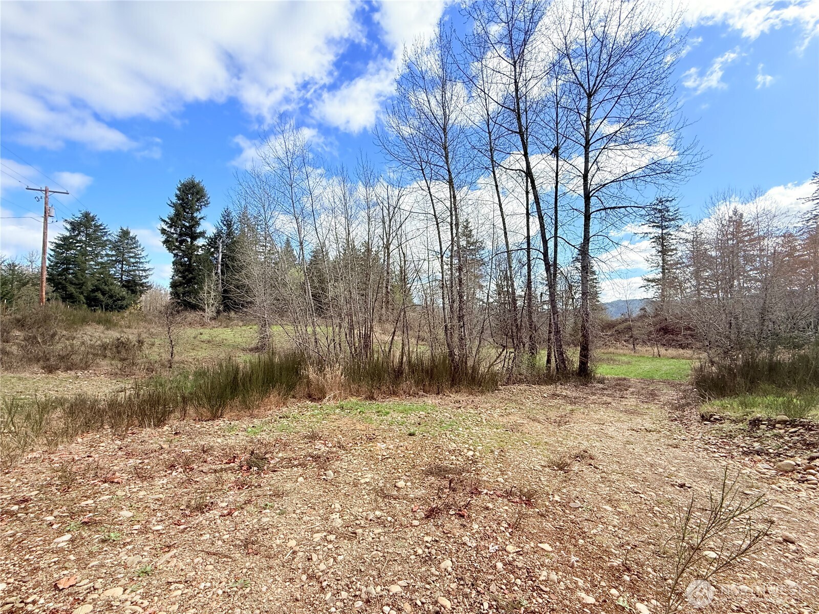 2126 Spencer Road Salkum, WA 98582 - Photo 17 of 24 a backyard of a house with lots of green space