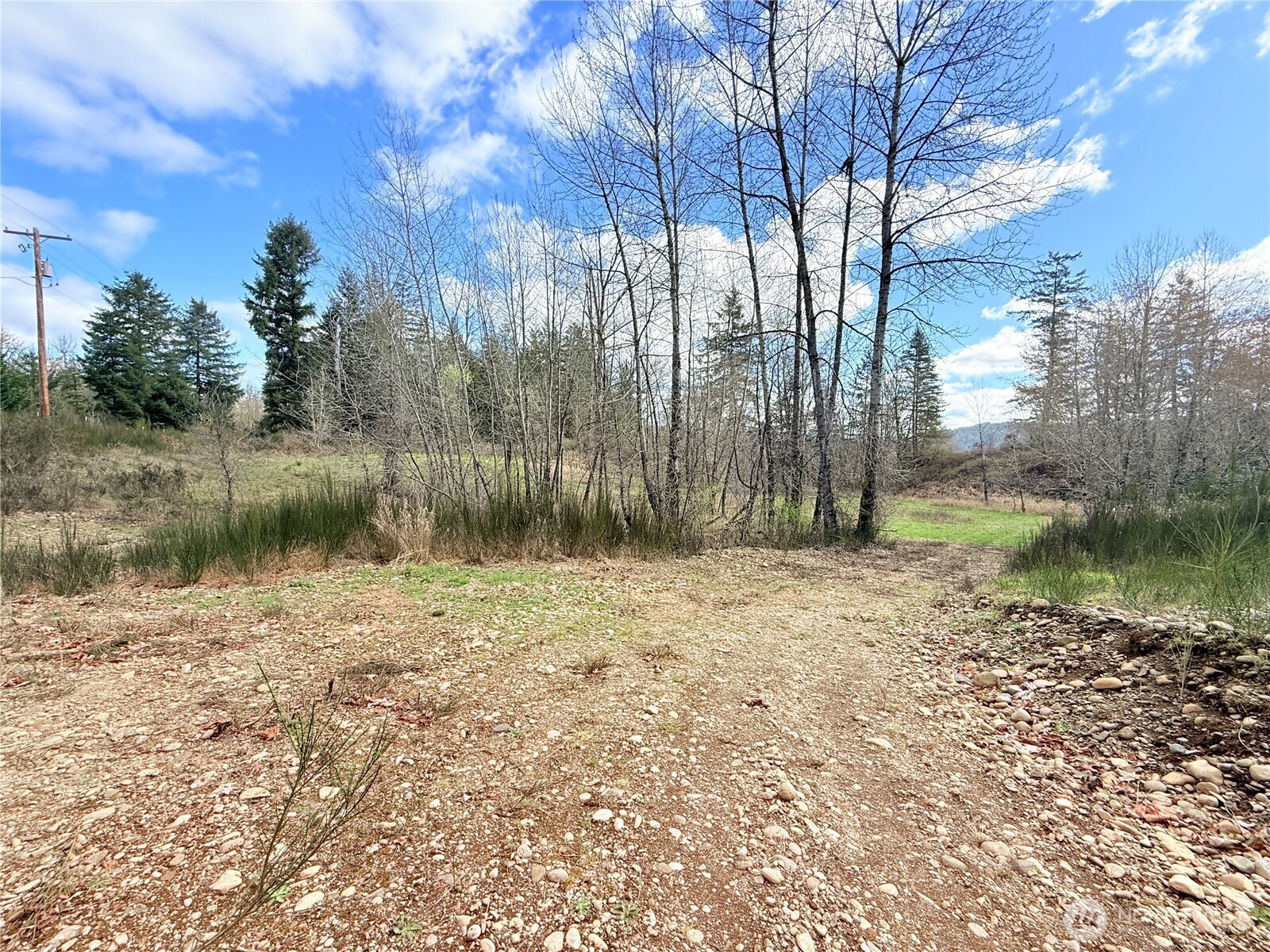 2126 Spencer Road Salkum, WA 98582 - Photo 18 of 24 a backyard of a house with lots of green space